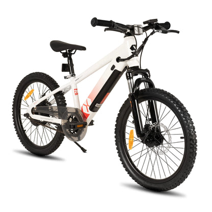 15 MPH Electric Mountain Bike