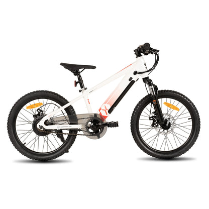 15 MPH Electric Mountain Bike