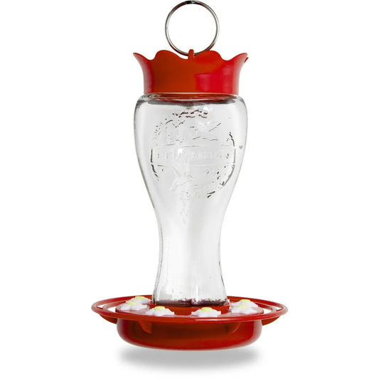Glass Hummingbird Feeder