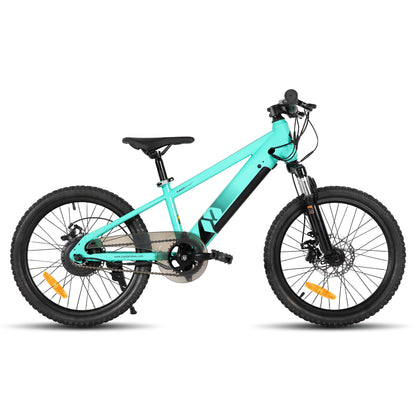 15 MPH Electric Mountain Bike
